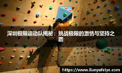 JN体育