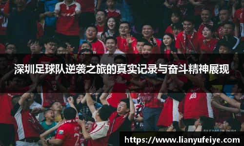 江南JNSport体育