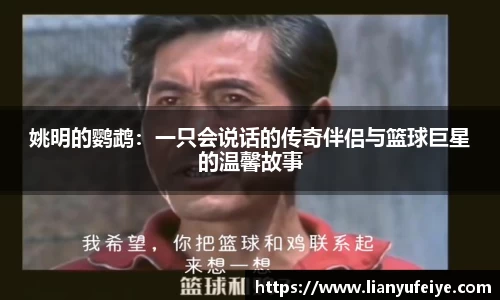 江南体育官方网站