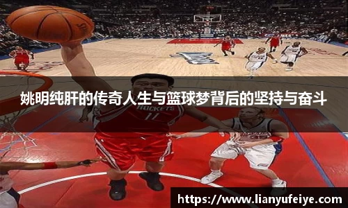 JN江南·(中国区)体育官方网站-JN SPORTS