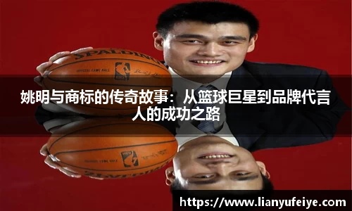 JN体育