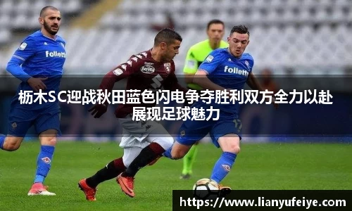 JN体育