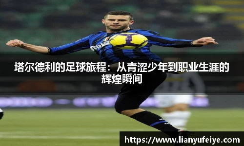 JN体育