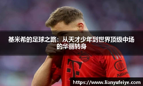JN体育